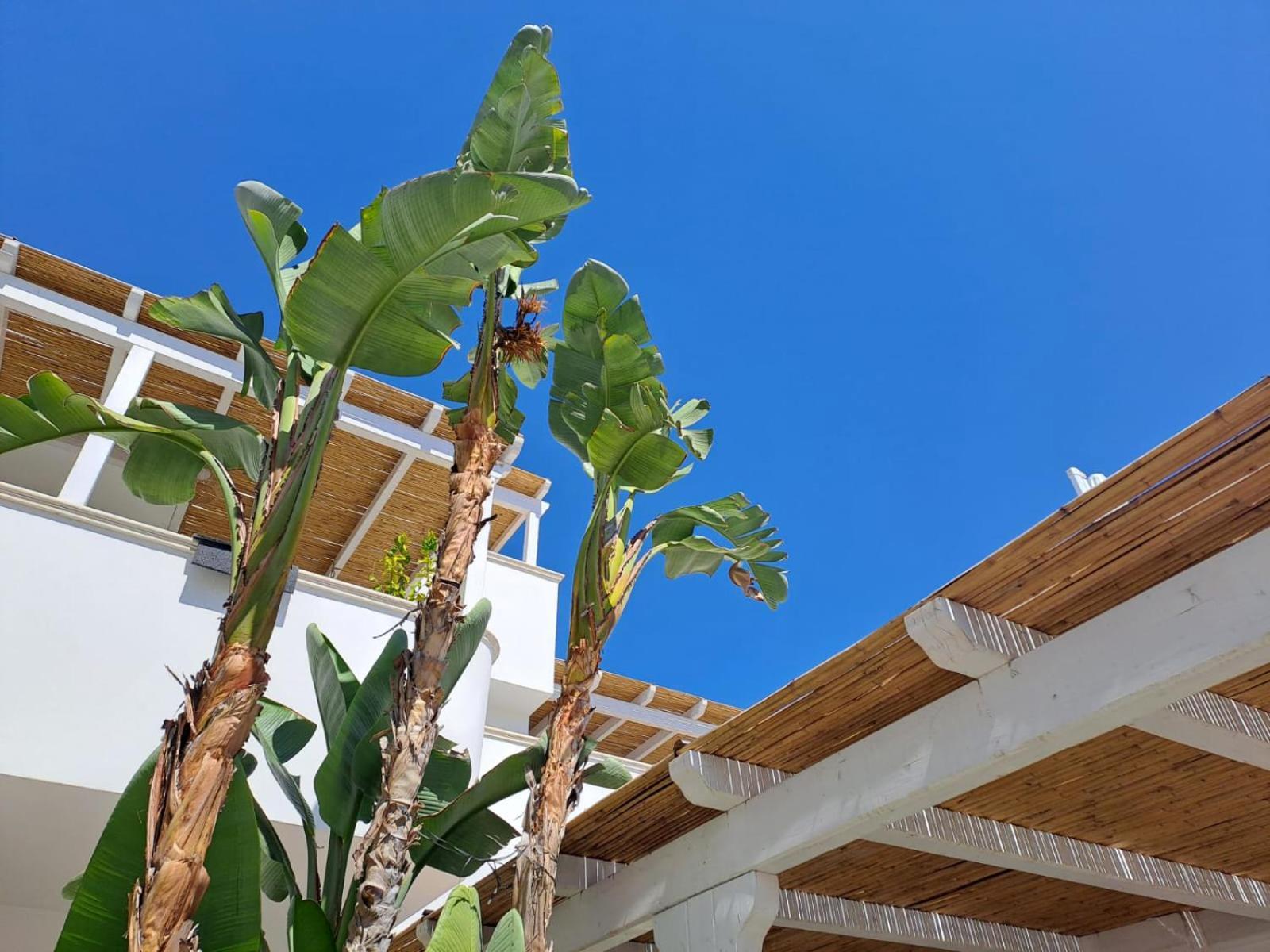 توري سان جيوفاني أوغينتو Casa Flora - Bed And Breakfast المظهر الخارجي الصورة